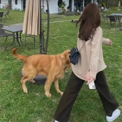 僵尸